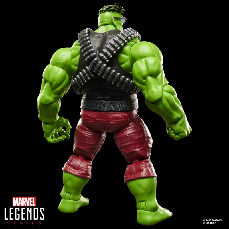 G2405 Marvel Legends Series Profesor Hulk