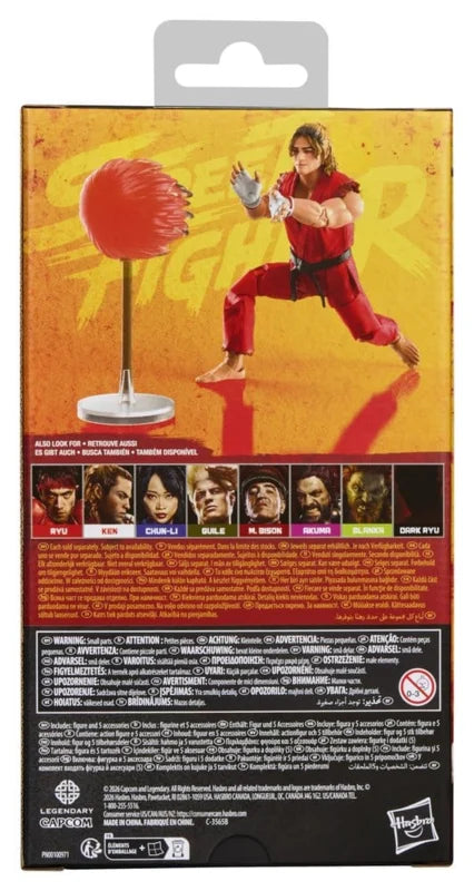 G4435 Hasbro Street Fighter Ken