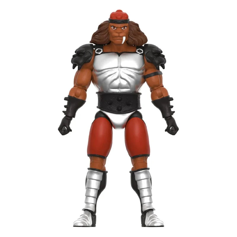 Super7 Thundercats Ultimates Grune The Destroyer (Toy Recolor)