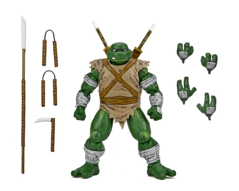 Teenage Mutant Ninja Turtles (Mirage Comics) Wanderer