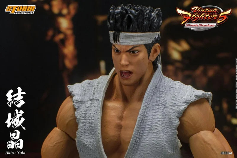 Virtua Fighter 5 Ultimate Showdown 1/12 Akira Yuki
